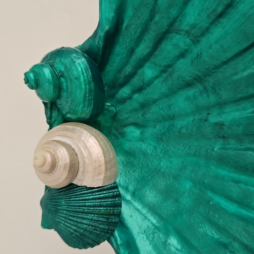 Shell Handcrafted for your Trinkets - Picture 2 of 5